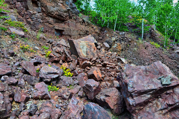 Fototapeta premium Ural mountains are rich in minerals. Here are concentrated the largest deposits of Jasper. Sometimes interesting stones just lie under your feet.