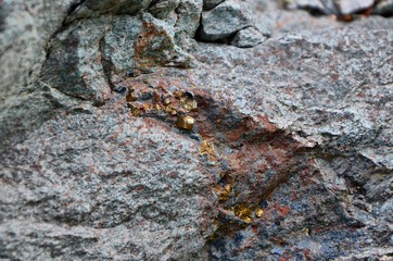 Ural mountains are rich in minerals. Here are concentrated the largest deposits of Jasper. Sometimes interesting stones just lie under your feet.