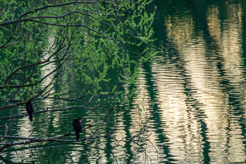 Colori al tramonto sul lago