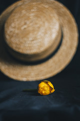bouquet of yellow waterlily flower with green leaf. freshly ripped up. In a straw hat. close up on black background of fabric. yellow lotus. vanishing plant, red data book flower composition. Flat lay