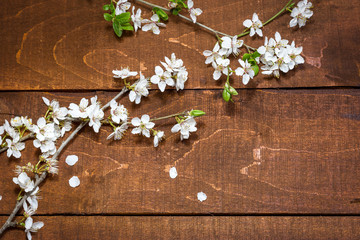 Spring flowers on a wooden background