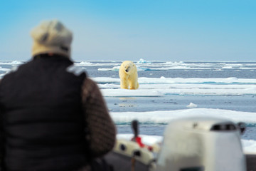 Man with polar bear, dangerous situation in the sea. Human in the Arctic nature. Polar bear on...