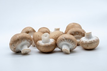 brown mushrooms, isolated on white background