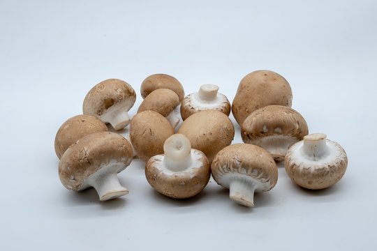 brown mushrooms, isolated on white background