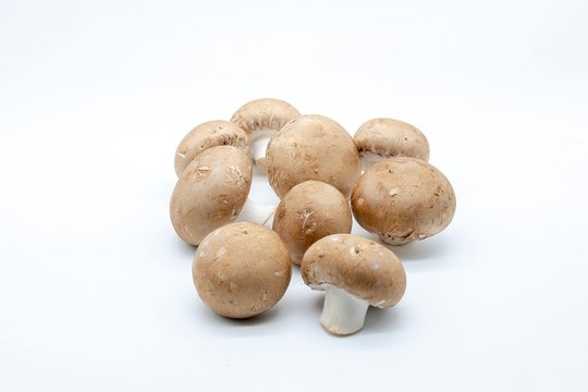 brown mushrooms, isolated on white background