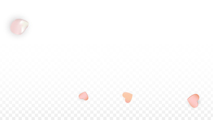 Vector Realistic Petals and Hearts Confetti. Flying Sakura and Hearts on Transparent Background. Wedding Invitation Background. Spring Romance Poster. Vector Illustration for Anniversary Design.