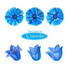 Fototapeta na wymiar A set of watercolor flowers in blue for design, composition, greetings. Cornflowers and bells, flower heads. Isolated on white background.