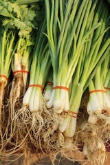Fresh spring onion for cooking in market