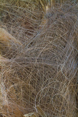 background of straw