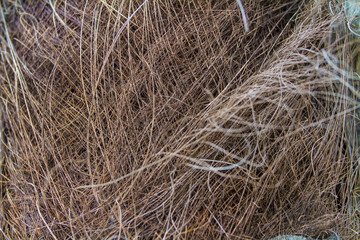 background of straw