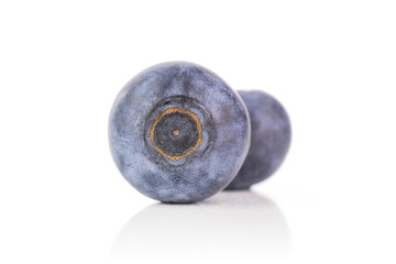 Group of two whole fresh sweet purple blueberry american isolated on white background