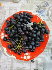 bunches of black grapes on an old red plate with patterns                