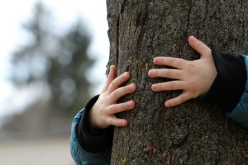 Arms hug a tree