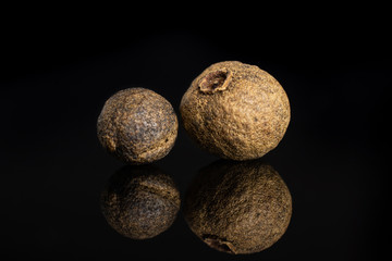 Group of two whole dry brown allspice berries isolated on black glass