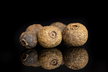 Group of five whole dry brown allspice berries isolated on black glass