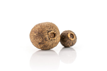 Group of two whole dry brown allspice berries isolated on white background