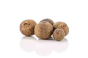 Fototapeta premium Group of five whole dry brown allspice berries isolated on white background