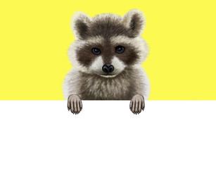 Raccoon on a yellow background holding a white billboard