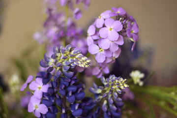 bouquet of wildflowers