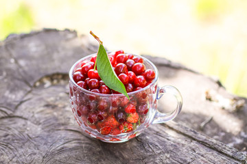 Ripe cherries and strawberries in a transparent cup on tree stump. Fresh red fruits in summer garden.