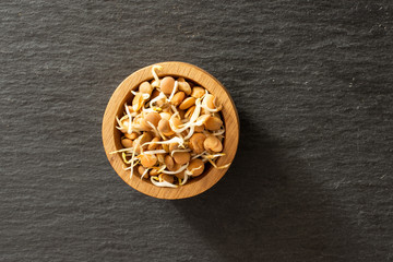 Lot of whole raw fresh yellow lentil sprouts with wooden bowl flatlay on grey stone