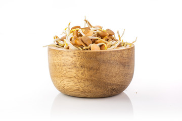 Lentil sprouts isolated on white