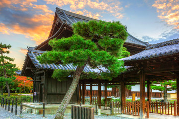 Obraz premium Buddhist temple in Kyoto during autumn season at sunset, Japan
