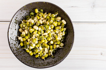 Lot of whole fresh green bean sprouts mungo in a grey ceramic bowl flatlay on white wood