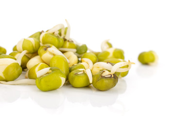 Lot of whole fresh green bean sprouts mungo isolated on white background