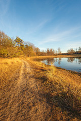 Vertical image of a small lake in the low light of the setting sun. The photo was taken in the Dutch nature reserve Boswachterij Dorst in North Brabant.