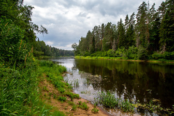 Landscape with river, forest and blue sky.