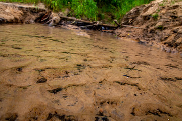 Reflections in shallow river as background.