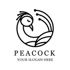 Peacock Logo with line design.