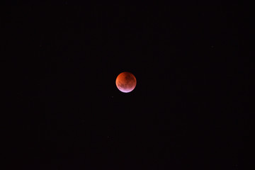 The sky with the red moon