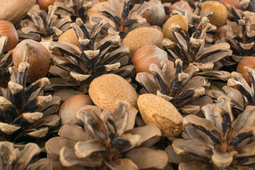 Dry Brown Pine Cones Background, Texture or Pattern