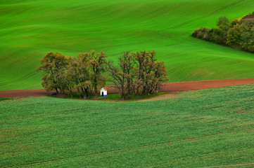 Famous moravian fields - Czech Republic © Nikolai Sorokin