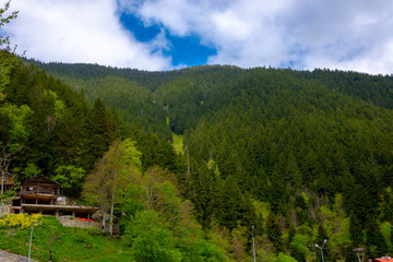 Fototapeta na wymiar Beautiful green landscape around the village Uzungol