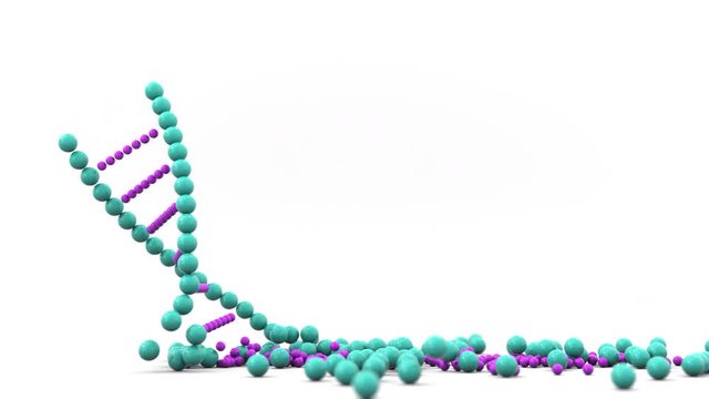 DNA molecule model falls and breaks apart, 3D animation