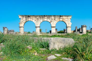 Fototapeta na wymiar Arches at the Roman Ruins of Volubilis in Morocco