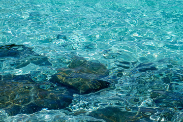 water surface of the sea