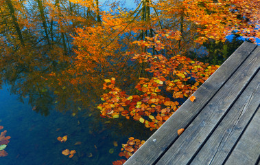 Naklejka na ściany i meble bridge in autumn lake