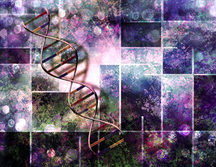 DNA colors