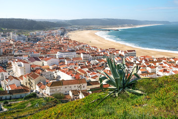 The town and beach of Nazare in Portugal on the shores of the Atlantic Ocean on a sunny day