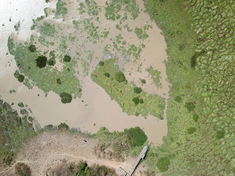 Aerial view of Las Macanas marsh reserve in the province of Herrera, Panama