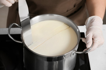 Woman preparing tasty cheese, closeup