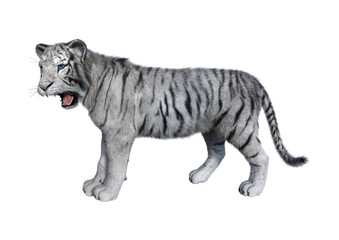 3D Rendering White Tiger on White