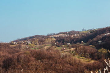 Fototapeta premium A view at a hill on sunny spring day.