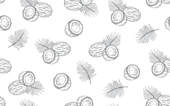 Seamless pattern with coconuts and palm leaves. Hand drawn vector