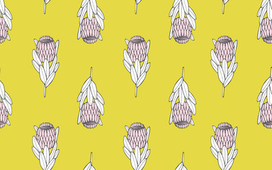 Tropical seamless pattern with exotic protea. Hand drawn vector