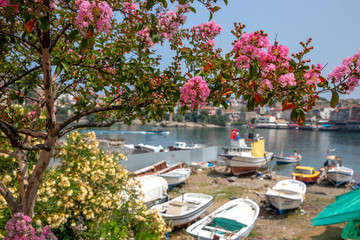 Spring in Amasra and Colorful New Blooming Flowers